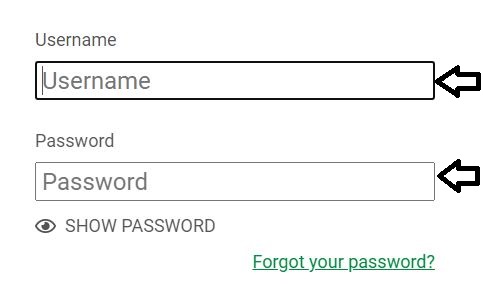 How to Reset SubwayLiveIQ.com Account Password